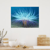 Zee van zee Levensduur Anemone Poster / Afdruk (Keuken)
