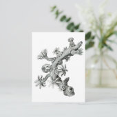 Zee ventilator briefkaart (Staand voorkant)