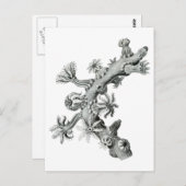 Zee ventilator briefkaart (Voorkant / Achterkant)