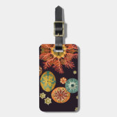 Zee vierkant reix Bagagelabel (Voorkant verticaal)