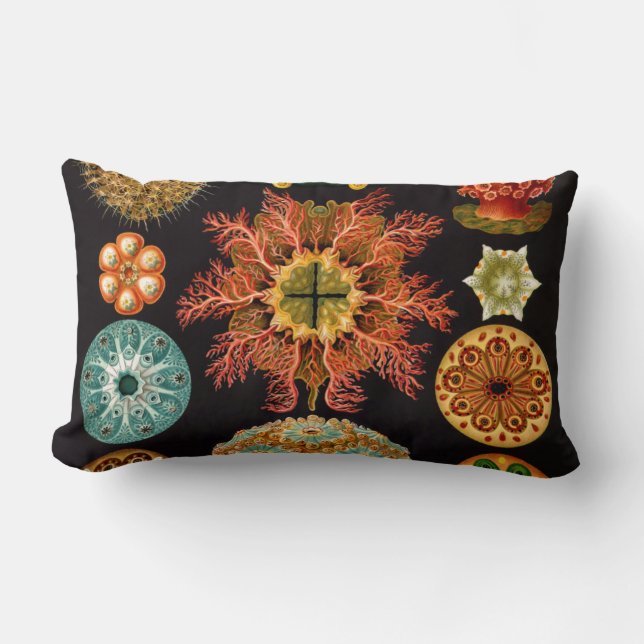 Zee vierkant vierkant lumbale piloot kussen (Voorkant)