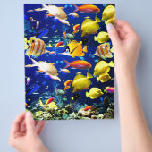 zee vis flyer (Hand)