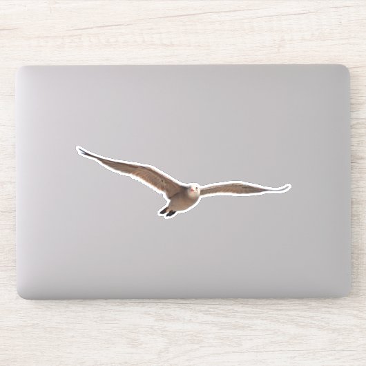 Zee Vogelmeeuw in Vlucht Uitgesneden Sticker (Computer)