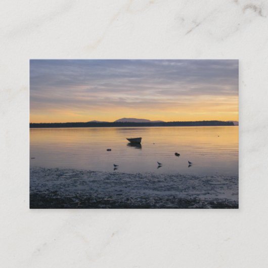 Zee vogels en kat visitekaartje (Voorkant)