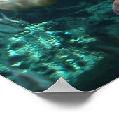 Zee voor Logger Head Poster (Hoek)