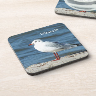 zee, water, zeemeeuw, vogel, reis, blauw, hemel, b bier onderzetter