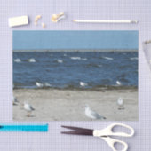 zee, water, zeemeeuw, vogel, reizen, blauw, lucht, tissuepapier (Craft)