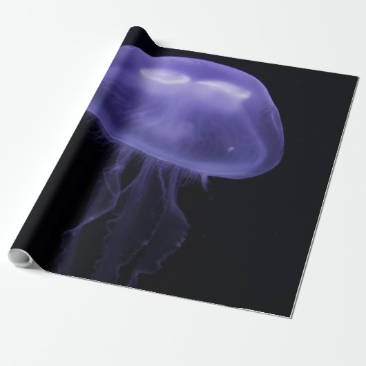Zee Waves Cadeaupapier (Uitgerold)
