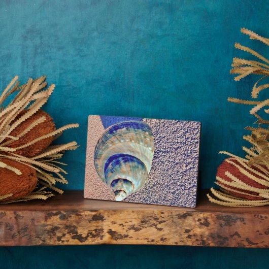 Zee Welk Seashell Fotoplaat (Zijkant)