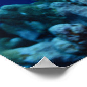 Zee - Zee schildpad Poster (Hoek)