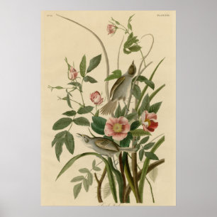 Zee zijafwerking poster