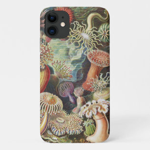 Zeeanemonen, Actiniae Seeanemonen Ernst Haeckel iPhone 11 Hoesje