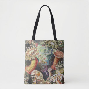 Zeeanemonen, Actiniae Zeeanemonen Ernst Haeckel Draagtas