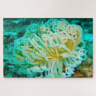 Zeeanemonen Legpuzzel