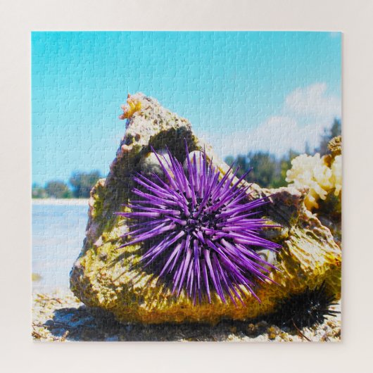 Zeeanemonen Legpuzzel (Verticaal)