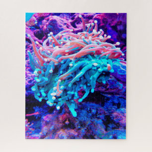 Zeeanemonen Legpuzzel