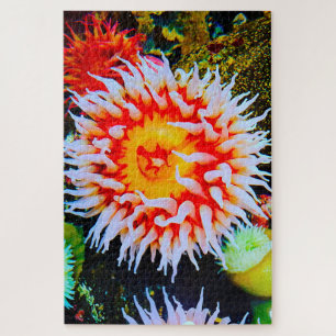 Zeeanemonen Legpuzzel