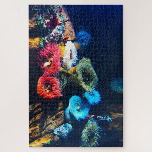 Zeeanemonen. Legpuzzel