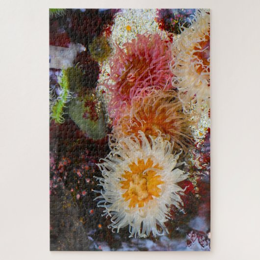 Zeeanemonen. Legpuzzel (Verticaal)