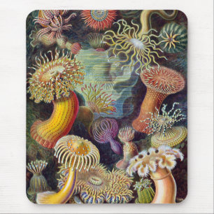 Zeeanemonen, Vintage Actiniae door Ernst Haeckel Muismat