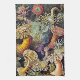 Zeeanemonen, Vintage Actiniae door Ernst Haeckel Theedoek