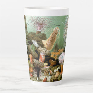 Zeeanemonen Zeedieren, Vintage Oceandieren Latte Mok