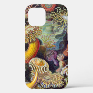 Zeeanemoon Wetenschappelijke Natuur Oceaan iPhone 12 Hoesje