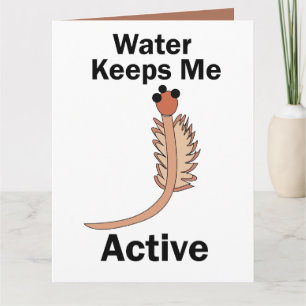 Zeeapen Pekelkreeftjes Water Houdt Me Actief  Kaart