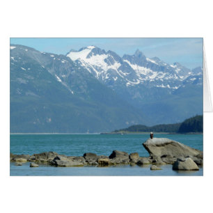 Zeearend bij Skagway Alaska