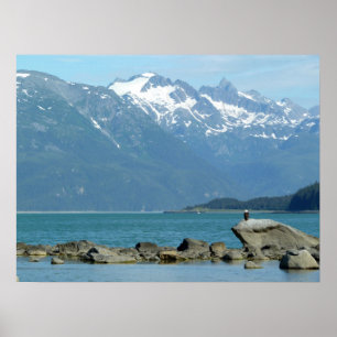 Zeearend in Skagway Alaska Poster