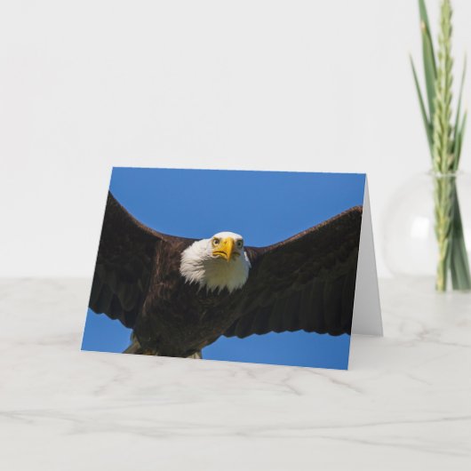 Zeearend vliegt dichtbij kaart (Voorkant)