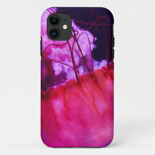 zeebaars iPhone 11 hoesje