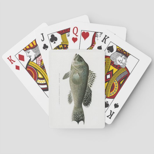 Zeebaars Vis Speelkaarten (Achterkant)