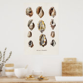  zeebergen Aangepersonaliseerde Retro Berge Shell Poster (Keuken)