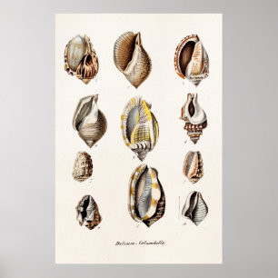 zeebergen Aangepersonaliseerde Retro Berge Shell Poster