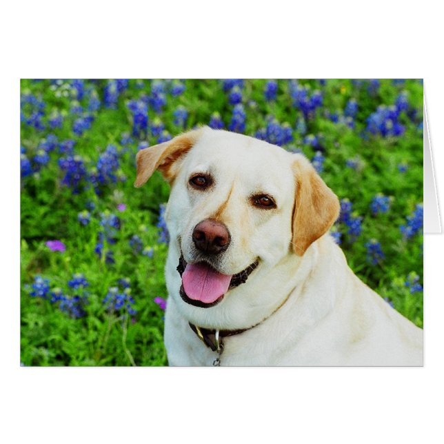 zeeblauw (Voorkant Horizontaal)