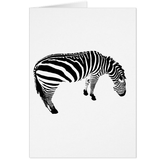 zeebra (Voorkant)