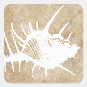 zeebrasem vierkante sticker