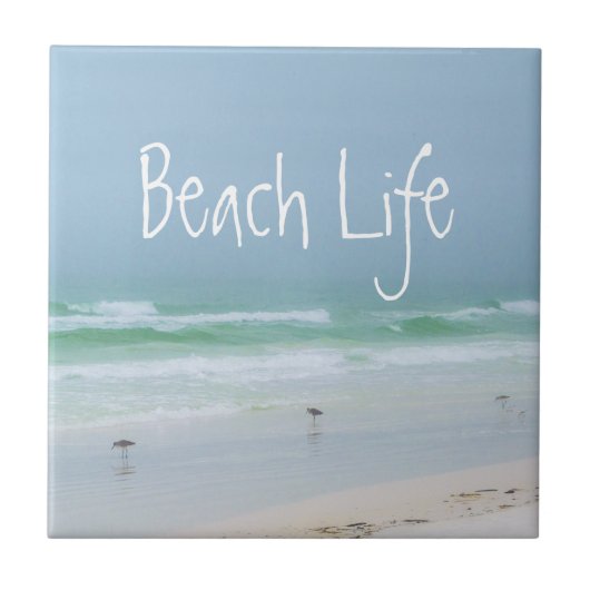 Zeebrasem zee blauw tegeltje (Voorkant)