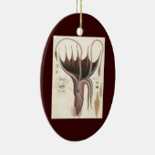  zeedieren, baardplein keramisch ornament (Rechts)