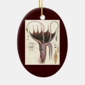  zeedieren, baardplein keramisch ornament (Achterkant)