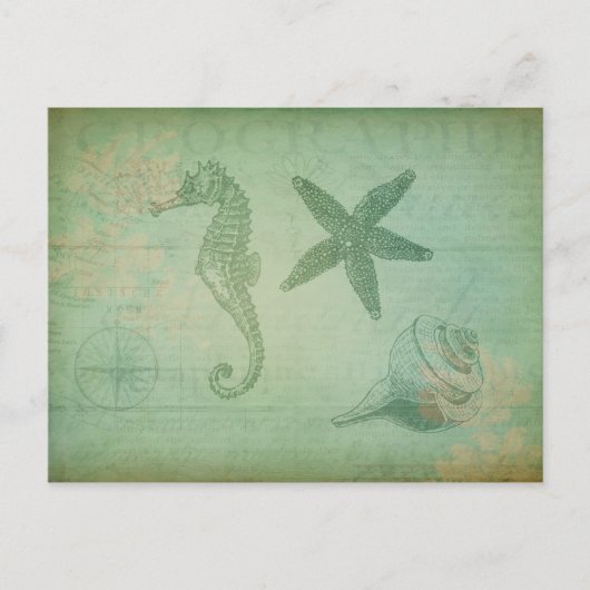 zeedieren en zeeschelpen briefkaart (Voorkant)