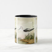 zeedieren Shorebirds, Avocet Birds Mok (Midden)