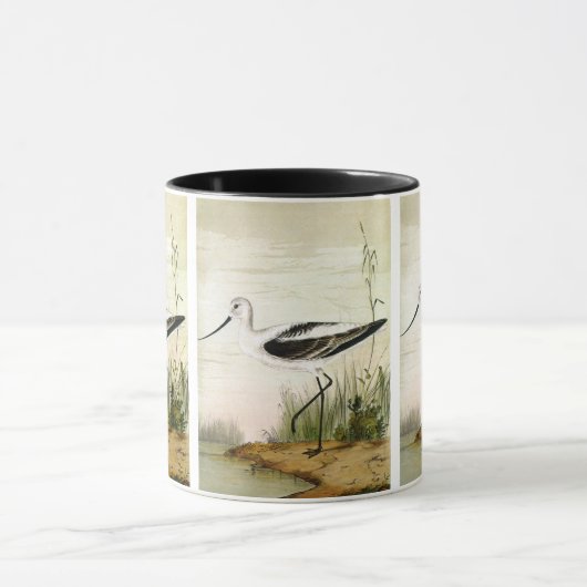 zeedieren Shorebirds, Avocet Birds Mok (Midden)