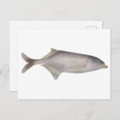 Zeeduivel Briefkaart (Voorkant / Achterkant)