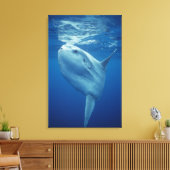 Zeeduivel Canvas Afdruk (Insitu (Woonkamer))