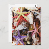 Zeeduivel, kleurrijke schelp briefkaart (Voorkant / Achterkant)
