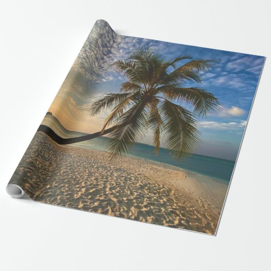  Zeeen Cadeaupapier (Uitgerold)