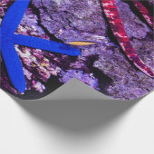 Zeeen Cadeaupapier (Hoek)