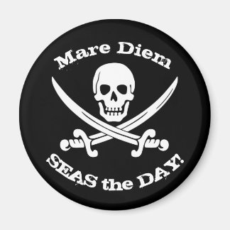 Zeeen de Dag Piratenmagneet Magneet